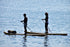 SUP Rental Copenhagen
